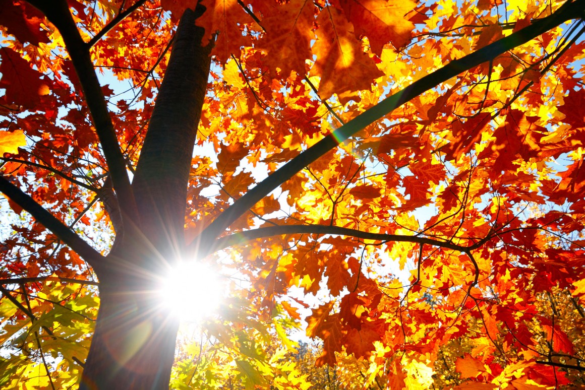 inspire-autumn-beauty-tips